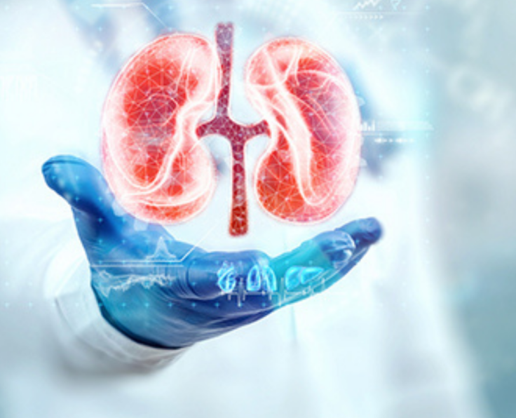 NEPHROLOGY