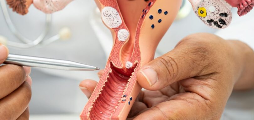Services: Pregnancy Care | Delivery | Gynecological Surgery | Women's Health