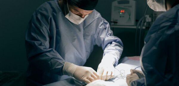 Plastic Surgery Plastic Surgery