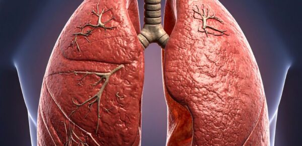Pulmonology Services: Lung Function Tests | Bronchoscopy | Sleep Studies | Respiratory Care