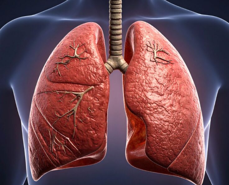 Services: Lung Function Tests | Bronchoscopy | Sleep Studies | Respiratory Care