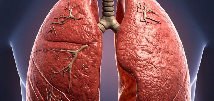 Services: Lung Function Tests | Bronchoscopy | Sleep Studies | Respiratory Care
