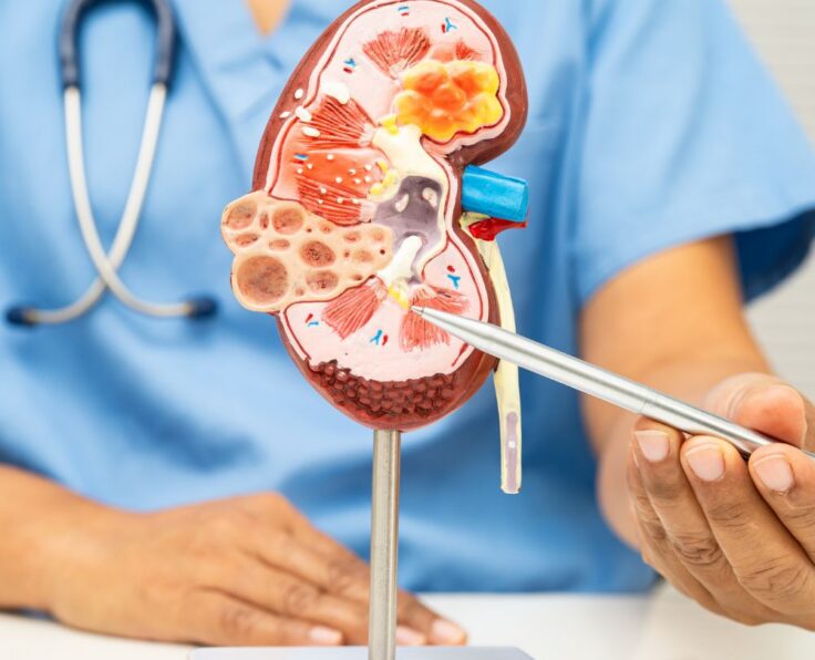 Services: Kidney Treatment | Prostate Care | Urological Surgery | Stone Treatment